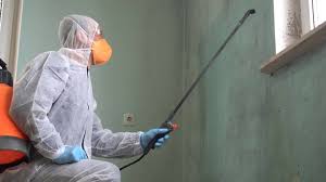 Lakeside, OR Mold Remediation Company